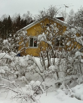 Aktuell bild 